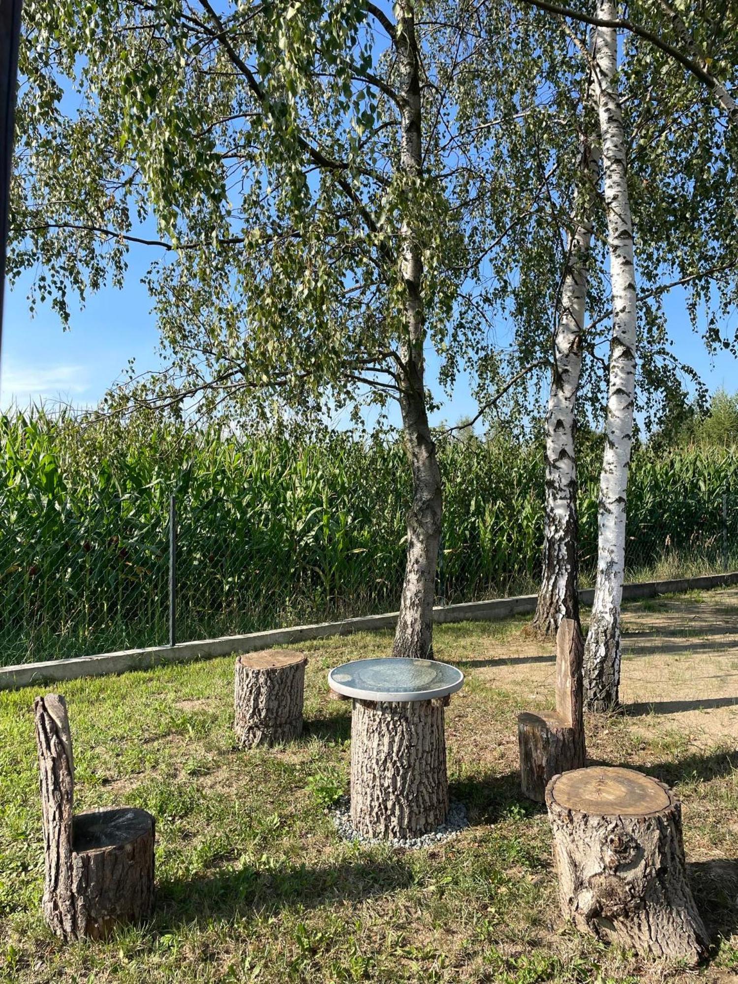 Apartamenty Zator Energy Rest Kültér fotó